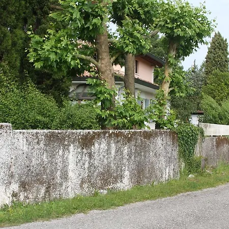 Le Margherite *