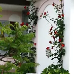 Le Margherite Manerba del Garda