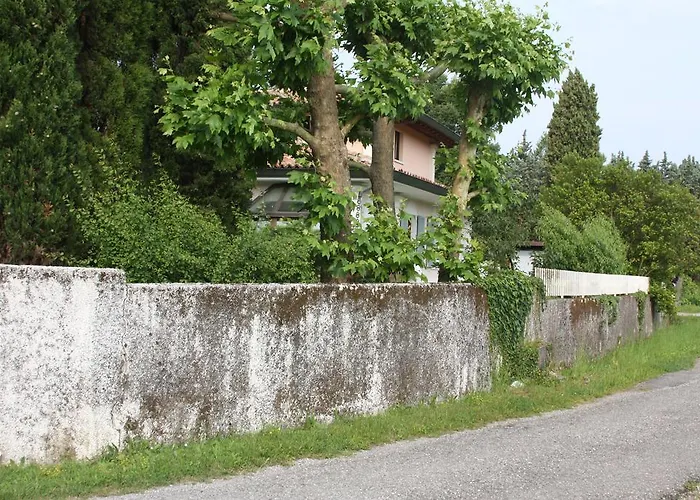 Le Margherite *