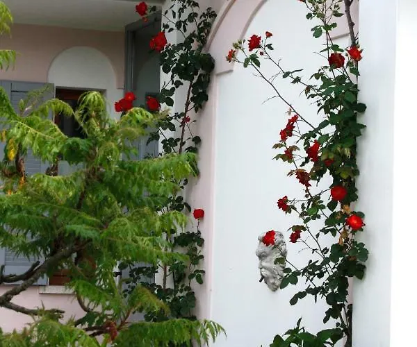 Le Margherite Manerba del Garda